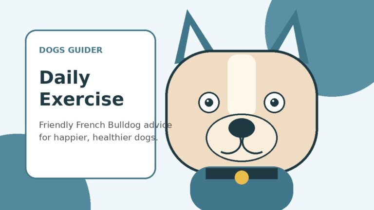 How Much Exercise Does a French Bulldog Need?