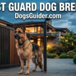 Best Guard Dog Breeds