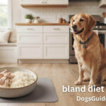 Bland Diet for Dogs
