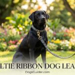 Beltie Ribbon Dog Leash