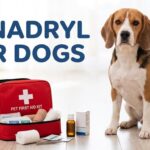 Benadryl for Dogs