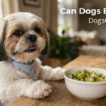 Can Dogs Eat Kiwi