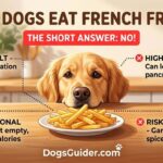 Can Dogs Eat French Fries