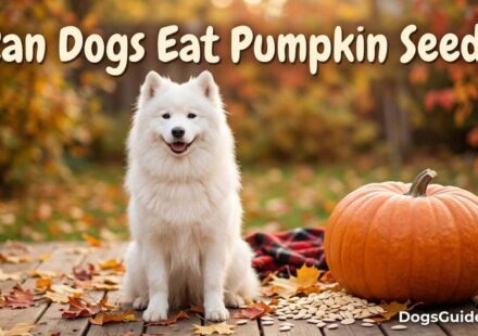 Can Dogs Eat Pumpkin Seeds