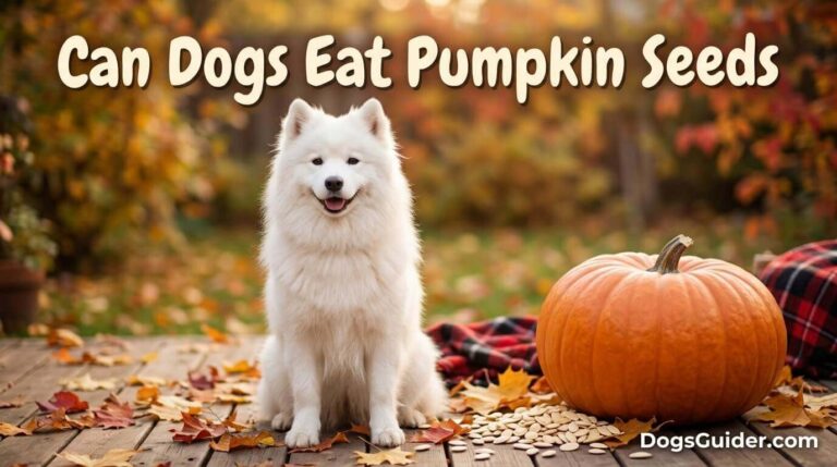Can Dogs Eat Pumpkin Seeds