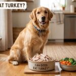 Can Dogs Eat Turkey
