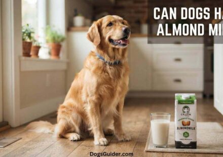 Can Dogs Have Almond Milk