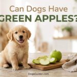 Can Dogs Have Green Apples