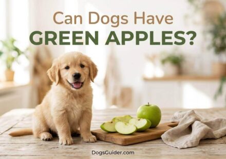 Can Dogs Have Green Apples