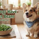 Can Dogs Have Green Beans