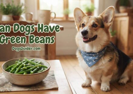 Can Dogs Have Green Beans