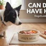 Can Dogs Have Ham