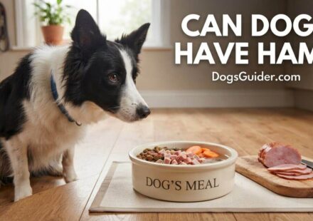 Can Dogs Have Ham