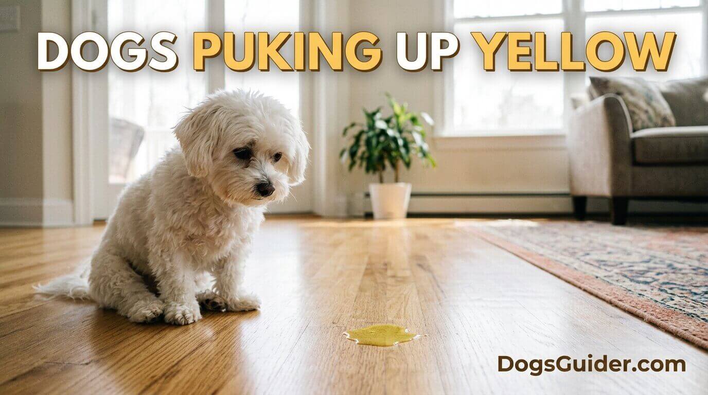 Dogs Puking Up Yellow