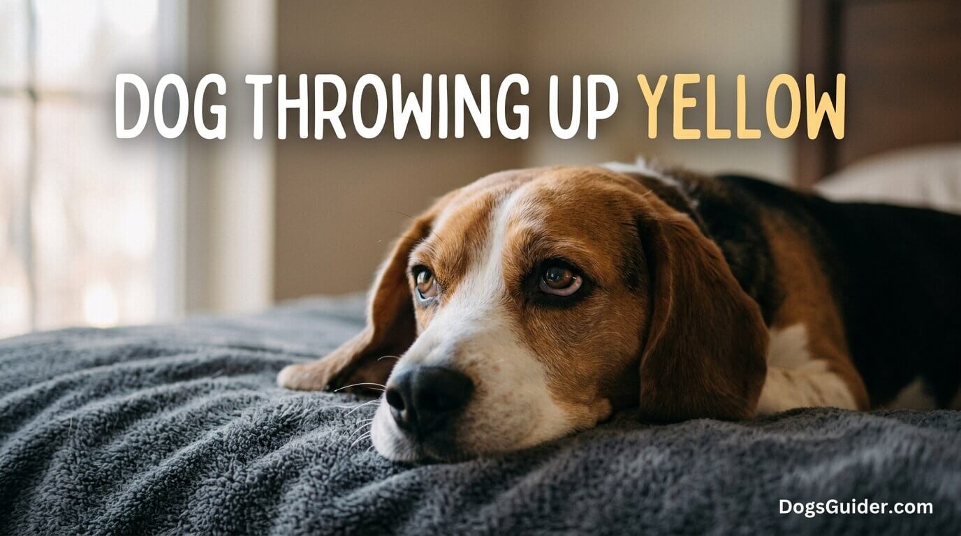 Dog Throwing Up Yellow