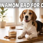 Is Cinnamon Bad for Dogs