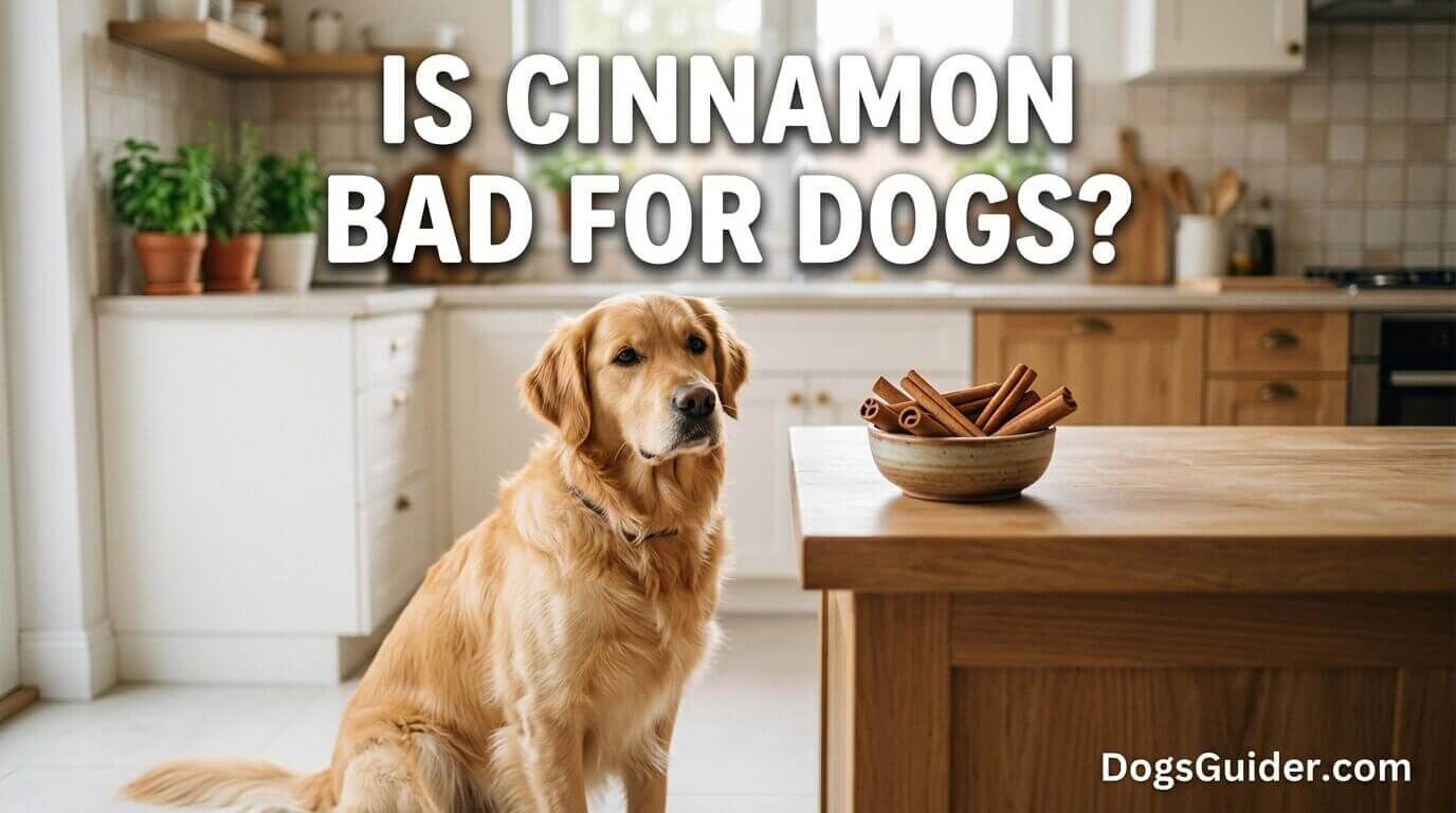 Is Cinnamon Bad for Dogs