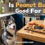 Is Peanut Butter Good For Dogs