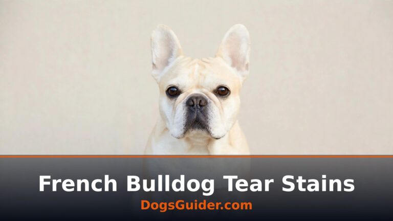 french bulldog tear stains