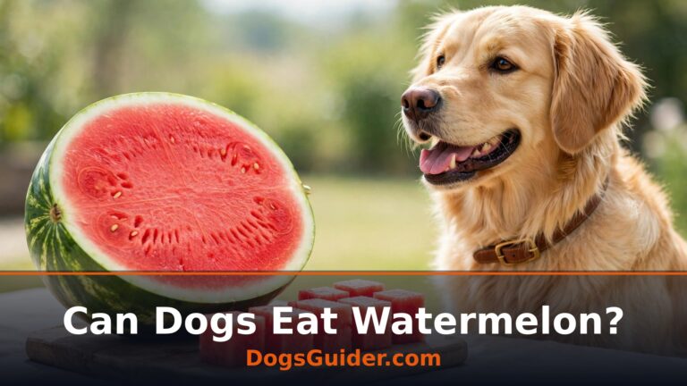Can Dogs Eat Watermelon?